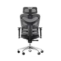 Dorsum - Executive Ergonomic Mesh Chair